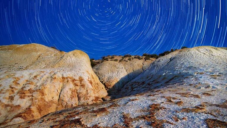 What Rewards Are Included In A 99Exch Vip Bonus?